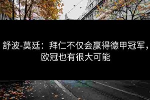 舒波-莫廷：拜仁不仅会赢得德甲冠军，欧冠也有很大可能
