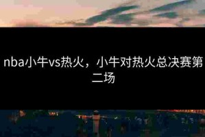 nba小牛vs热火，小牛对热火总决赛第二场